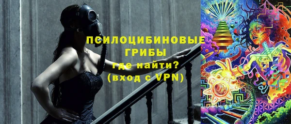 таблы Осинники