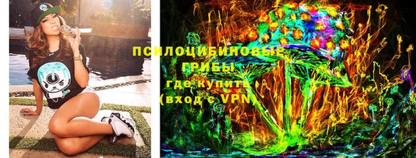 таблы Осинники