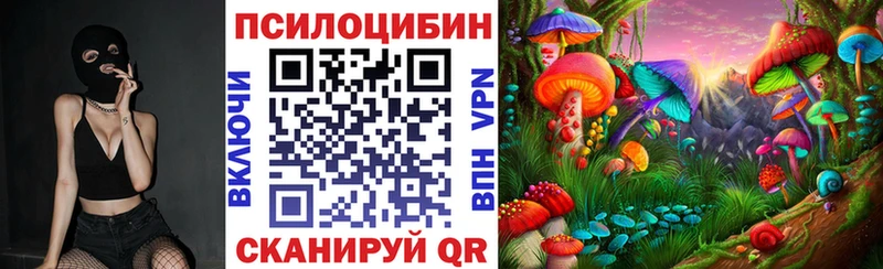 цены   МЕГА сайт  Галлюциногенные грибы Psilocybe  Орехово-Зуево 